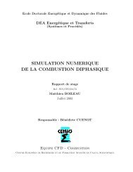 simulation numerique de la combustion diphasique - cerfacs