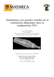 Simulations aux grandes Ã©chelles de la combustion ... - cerfacs