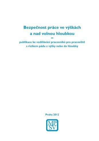 BezpeÄnost prÃ¡ce ve vÃ½Å¡kÃ¡ch a nad volnou hloubkou - Ministerstvo ...