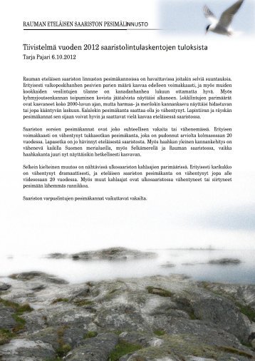 Yhteenvetoraportti - Rauma