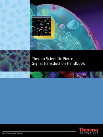 Signal Transduction Handbook - Thermo Fisher