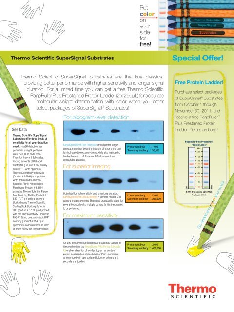 Free Protein Ladder! - Thermo Fisher