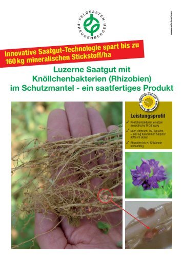 Luzerne Saatgut mit Knöllchenbakterien - Feldsaaten ...