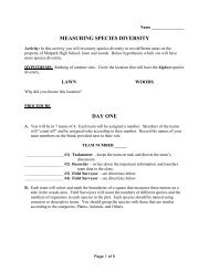 activity worksheets - Units.muohio.edu
