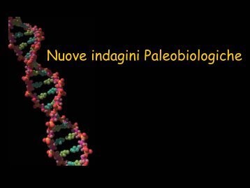 Human Bioarchaeology Week 9: Stable Isotopes - UniversitÃ  degli ...