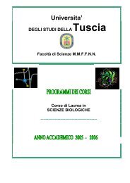 laboratorio di informatica - UniversitÃ  degli Studi della Tuscia