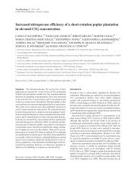 Increased nitrogen-use efficiency of a short-rotation - Tree Physiology