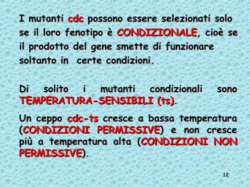 Analisi genetica del ciclo cellulare - UniversitÃ  degli Studi della Tuscia