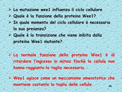 Analisi genetica del ciclo cellulare - UniversitÃ  degli Studi della Tuscia