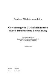 Gewinnung von 3D-Informationen durch Strukturierte Beleuchtung