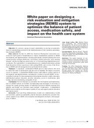 White paper on designing a risk evaluation and mitigation strategies ...