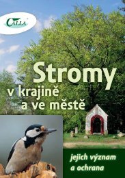 zde ke staÅ¾enÃ­ (pdf, 2282 kB) - Calla