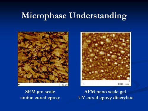 Radiation Curing: Coatings and Composites