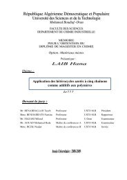 laib hana magister.pdf - UniversitÃ© des Sciences et de la ...