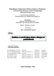 Ladjine samir magister.pdf