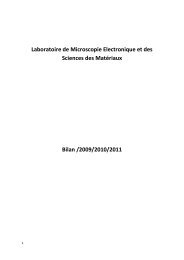 Laboratoire Microscope Electronique et Sciences des MatÃ©riaux.