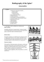 Radiography of the Spine*