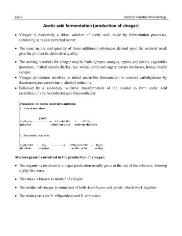 Acetic acid fermentation (production of vinegar)