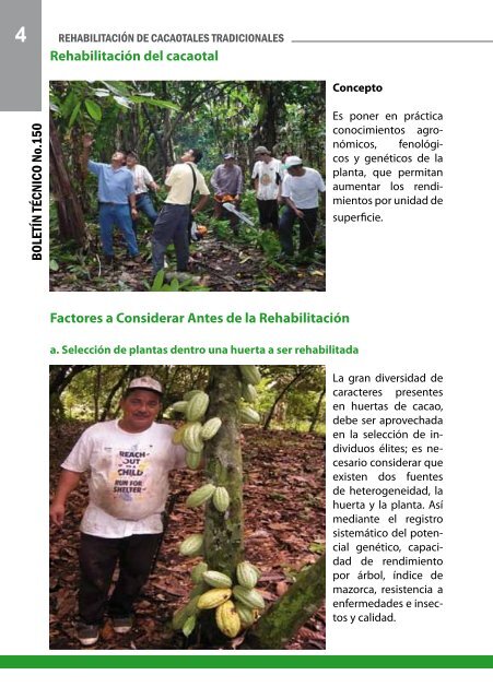 rehabilitaciÃ³n de cacaotales tradicionales - Universidad Nacional de ...