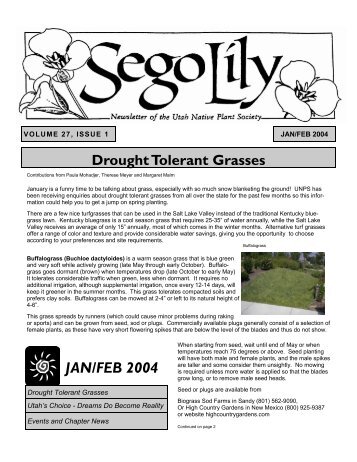 Drought Tolerant Grasses - Utah Native Plant Society