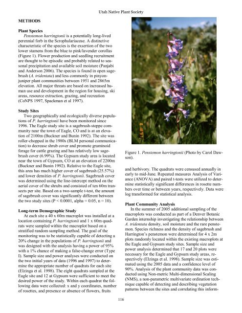 December 2012 Number 1 - Utah Native Plant Society