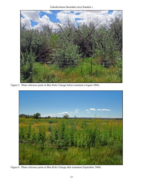 December 2012 Number 1 - Utah Native Plant Society