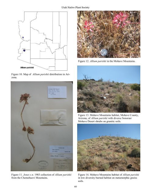 December 2012 Number 1 - Utah Native Plant Society