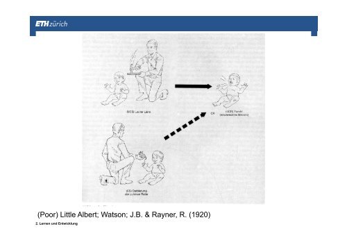 Lernen und Entwicklung - vom Behaviorismus zur kognitiven ...