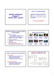 Metode I.pdf