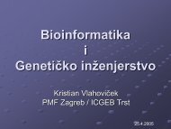 Bioinformatika i GenetiÄko inÅ¾enjerstvo