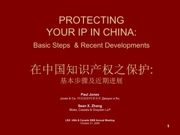 FRANCHISING IN CHINA ç¹è®¸ç»è¥å¨ä¸­å½ - Licensing Executives ...