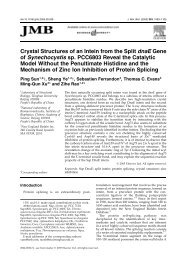 Crystal Structures of an Intein from the Split dnaE Gene of ...