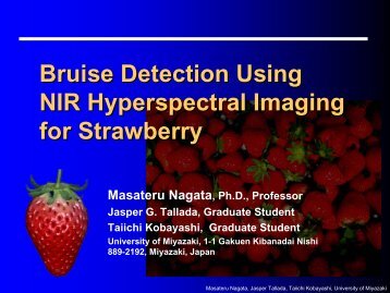 Bruises in Strawberries - Spectral Cameras