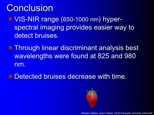 Bruises in Strawberries - Spectral Cameras