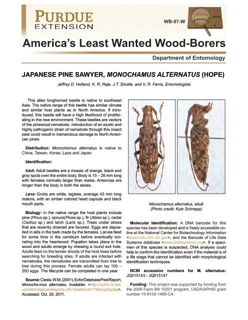 America's Least Wanted Wood-Borers - Purdue Extension ...