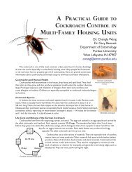 Community-wide cockroach IPM in public housing - Purdue ...