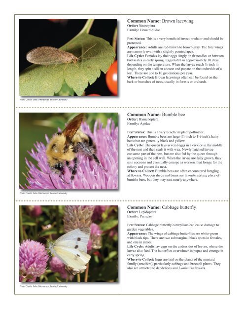 to download pdf - Purdue Extension Entomology - Purdue University