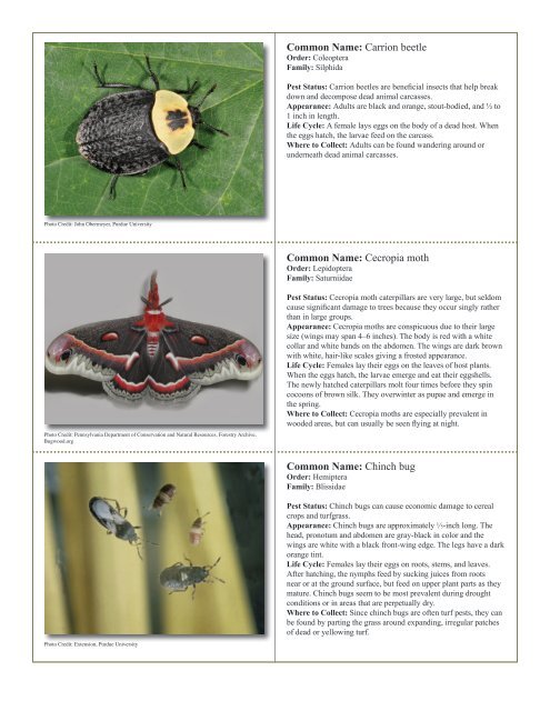 to download pdf - Purdue Extension Entomology - Purdue University