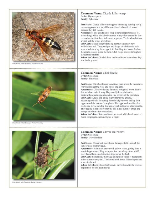 to download pdf - Purdue Extension Entomology - Purdue University