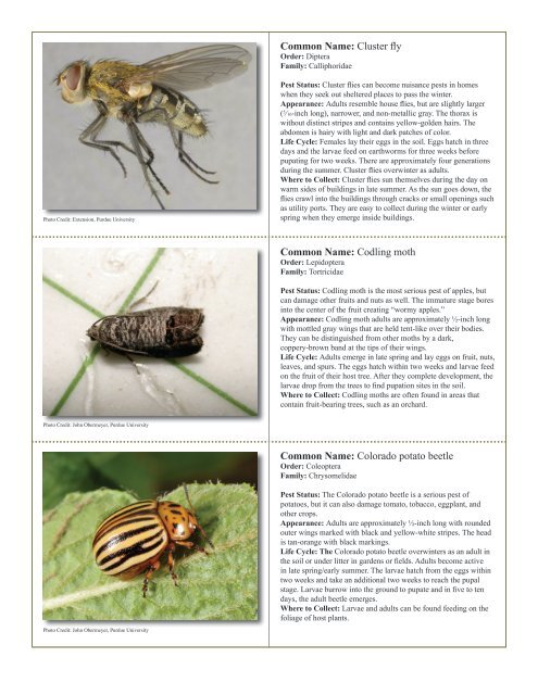 to download pdf - Purdue Extension Entomology - Purdue University