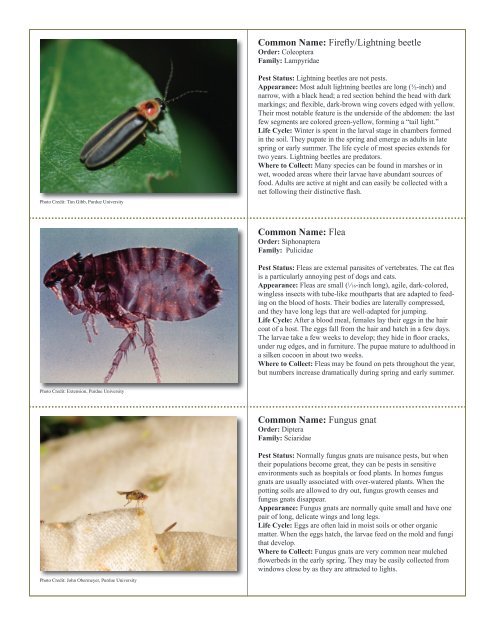 to download pdf - Purdue Extension Entomology - Purdue University