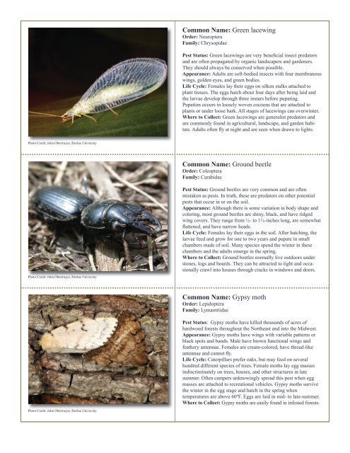 to download pdf - Purdue Extension Entomology - Purdue University