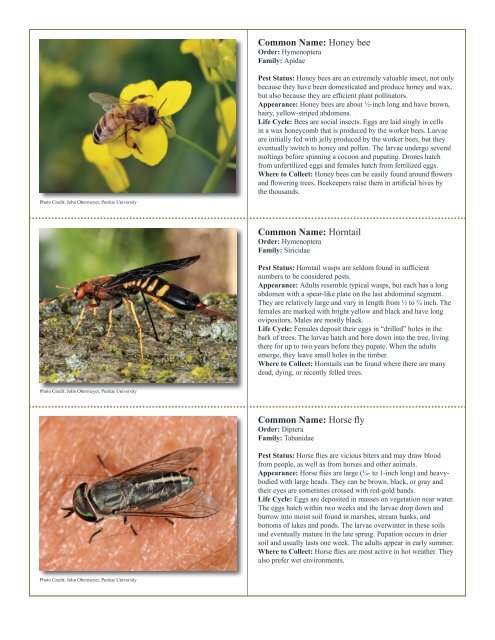 to download pdf - Purdue Extension Entomology - Purdue University