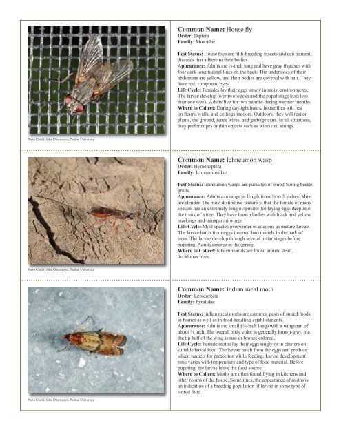 to download pdf - Purdue Extension Entomology - Purdue University