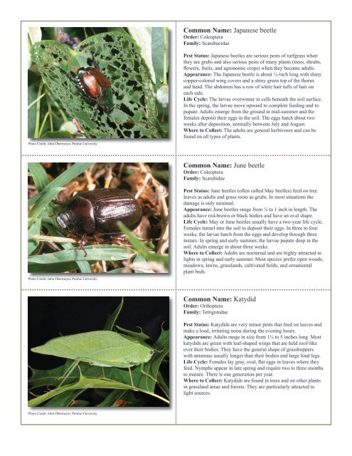 to download pdf - Purdue Extension Entomology - Purdue University