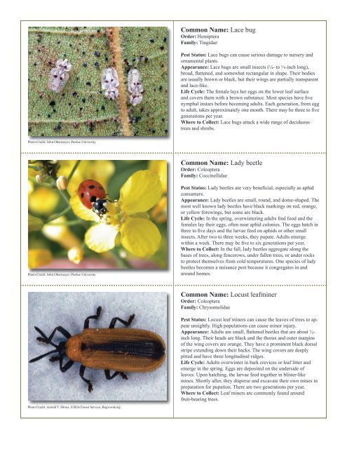 to download pdf - Purdue Extension Entomology - Purdue University