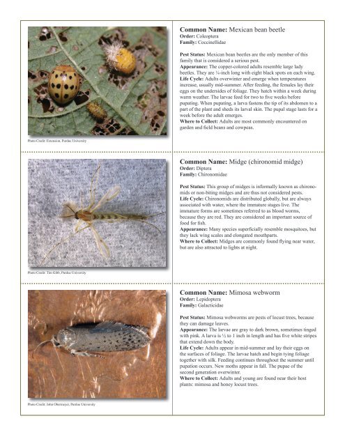 to download pdf - Purdue Extension Entomology - Purdue University