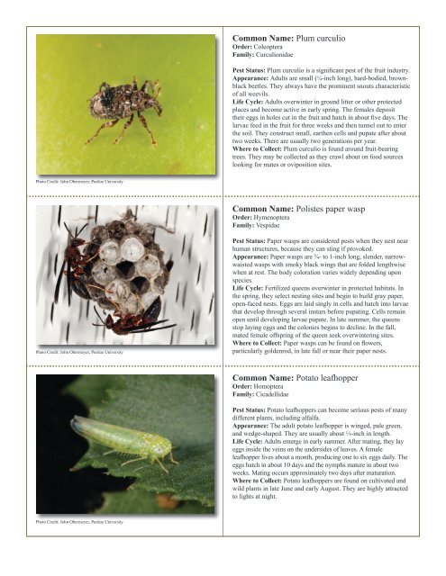 to download pdf - Purdue Extension Entomology - Purdue University