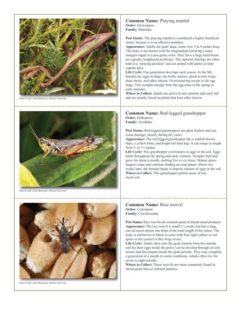 to download pdf - Purdue Extension Entomology - Purdue University