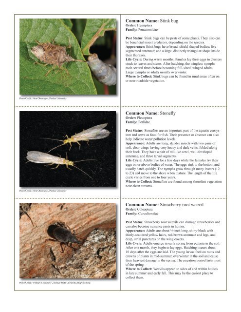 to download pdf - Purdue Extension Entomology - Purdue University